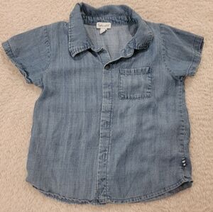 Splendid baby boy's Indigo Shirt and French terry shorts 18 months